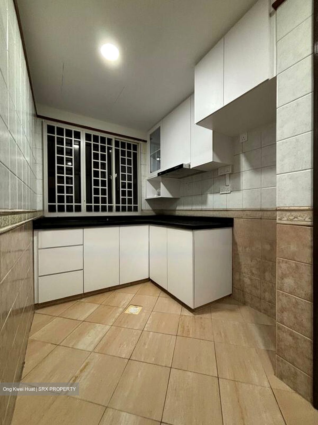 Parc Vista (D22), Condominium #477747061